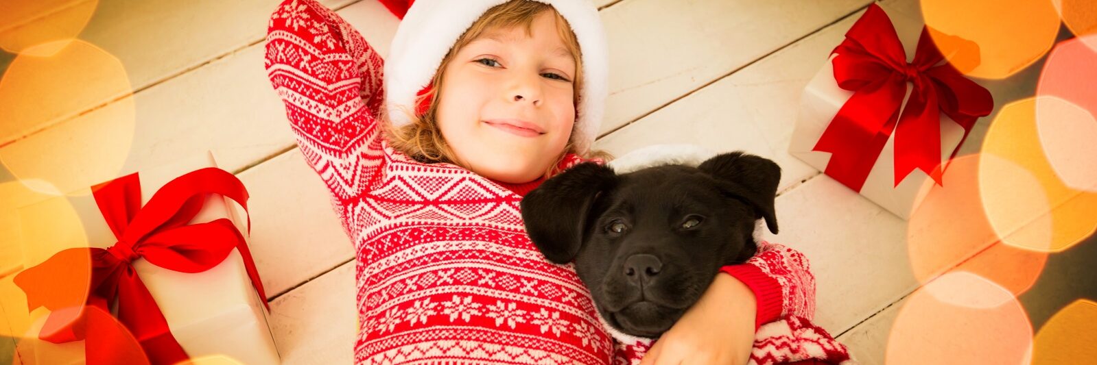 Geschenkidee Tier Hund Katze Geschenkidee Tier Hund Katze